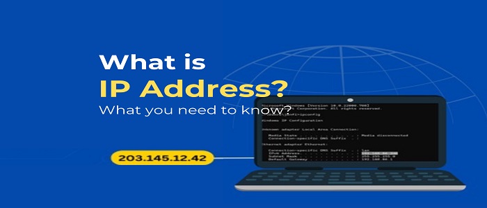 IP Address